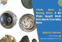 Cánh Bơm & Buồng Bơm: 2 Bộ Phận Quyết Định Sức Mạnh Của Máy Bơm Cánh Bơm & Buồng Bơm: 2 Bộ Phận Quyết Định Sức Mạnh Của Máy Bơm