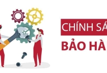 Chính sách bảo hành