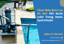 Chọn Máy Bơm Lọc Hồ Bơi: Giữ Nước Luôn Trong Xanh, Sạch Khuẩn Chọn Máy Bơm Lọc Hồ Bơi: Giữ Nước Luôn Trong Xanh, Sạch Khuẩn