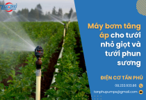 Máy bơm tăng áp cho tưới nhỏ giọt và tưới phun sương Máy bơm tăng áp cho tưới nhỏ giọt và tưới phun sương