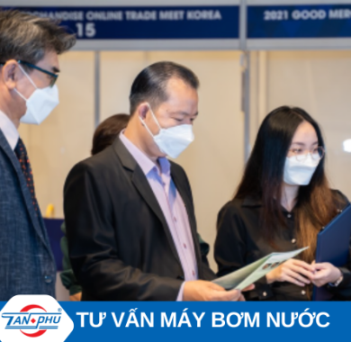 Dịch Vụ Tư Vấn