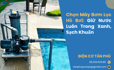 Chọn Máy Bơm Lọc Hồ Bơi: Giữ Nước Luôn Trong Xanh, Sạch Khuẩn