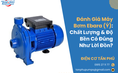 Đánh Giá Máy Bơm Ebara (Ý): Chất Lượng & Độ Bền Có Đúng Như Lời Đồn?