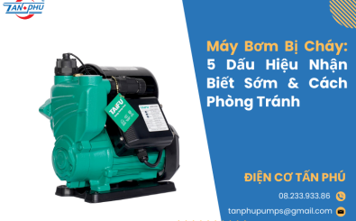 Máy Bơm Bị Cháy: 5 Dấu Hiệu Nhận Biết Sớm & Cách Phòng Tránh