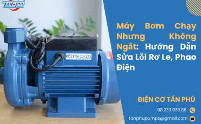 Máy Bơm Chạy Nhưng Không Ngắt: Hướng Dẫn Sửa Lỗi Rơ Le, Phao Điện