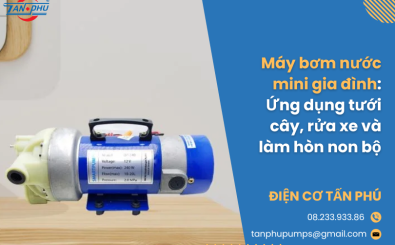 Máy bơm nước mini gia đình: Ứng dụng tưới cây, rửa xe và làm hòn non bộ