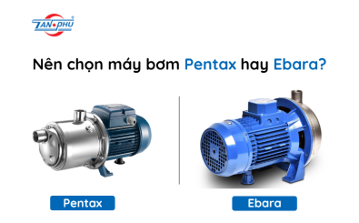 So Sánh Máy Bơm Pentax Và Ebara: Nên Chọn Hãng Nào Tốt Nhất?