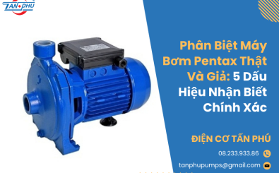 Phân Biệt Máy Bơm Pentax Thật Và Giả: 5 Dấu Hiệu Nhận Biết Chính Xác 