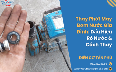 Thay Phớt Máy Bơm Nước Gia Đình: Dấu Hiệu Rò Nước & Cách Thay