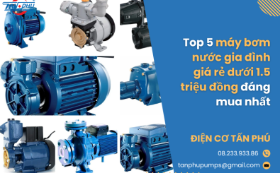 Top 5 máy bơm nước gia đình giá rẻ dưới 1.5 triệu đồng đáng mua nhất