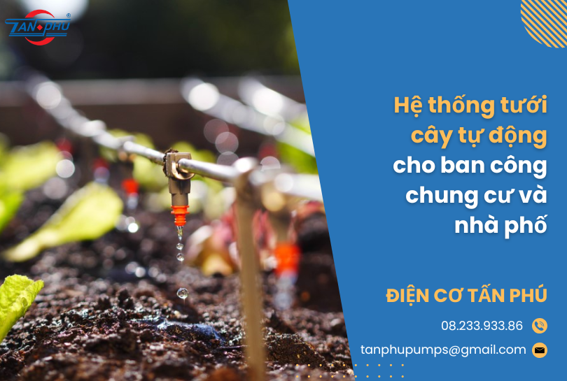 Hệ thống tưới cây tự động cho ban công chung cư và nhà phố