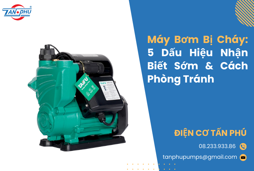 Máy Bơm Bị Cháy: 5 Dấu Hiệu Nhận Biết Sớm & Cách Phòng Tránh