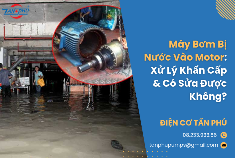 Máy Bơm Bị Nước Vào Motor: Xử Lý Khẩn Cấp & Có Sửa Được Không?