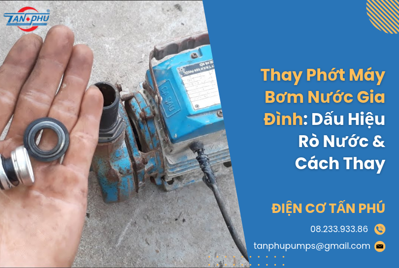 Thay Phớt Máy Bơm Nước Gia Đình: Dấu Hiệu Rò Nước & Cách Thay