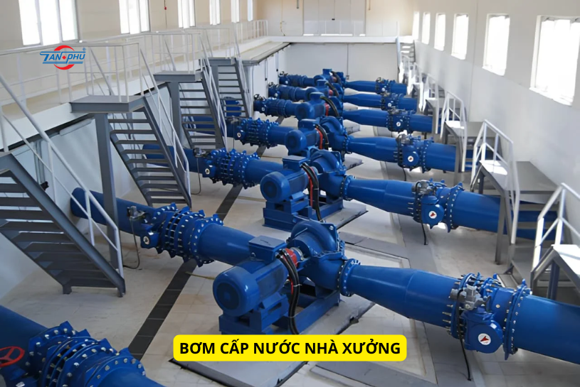 bơm cấp nước nhà xưởng