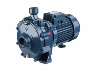 Máy bơm ly tâm 2 tầng cánh EBARA CDA 0.75T